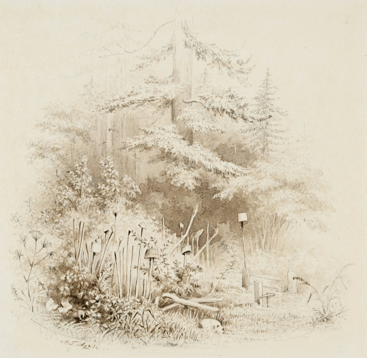 Indian Burial Place, Oregon, 1841 (børste og brun vask, med grafitt, på kremvevd papir) av Alfred Thomas Agate