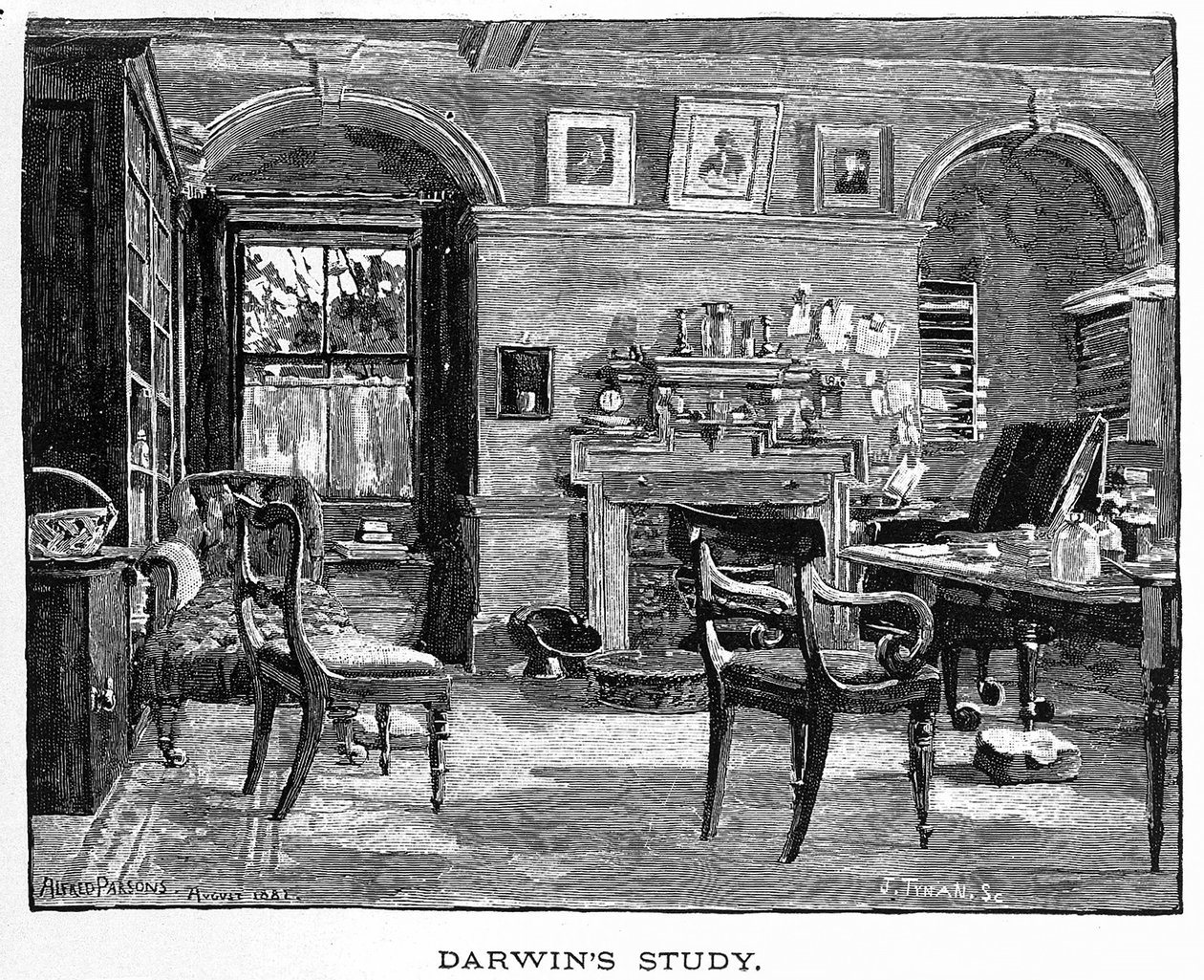 Darwins studie fra Charles Darwin, hans liv og arbeid, pub. 1891 (tregravering) av Alfred (after) Parsons