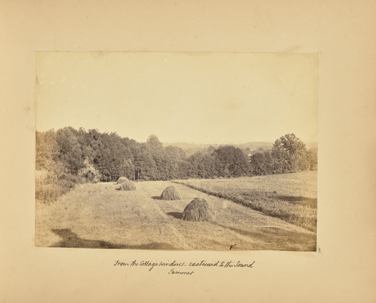  av Alfred Booth