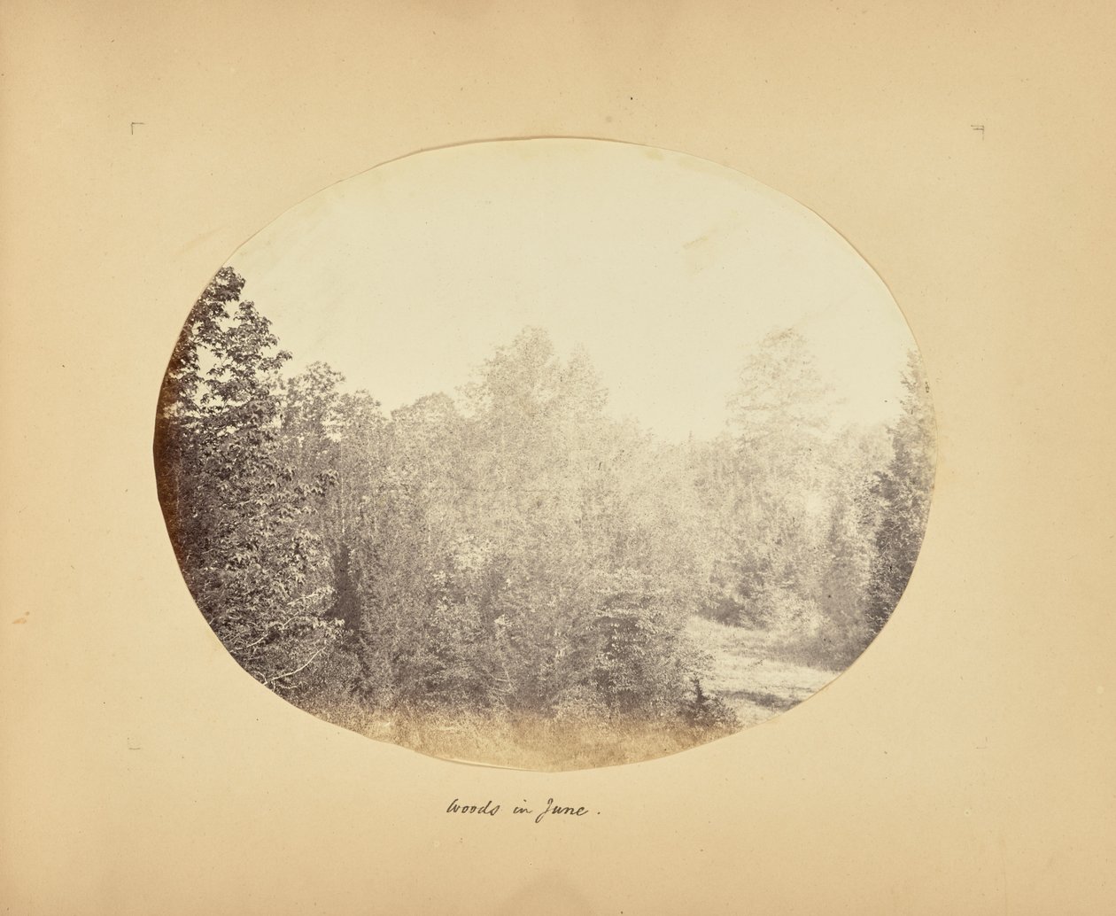  av Alfred Booth