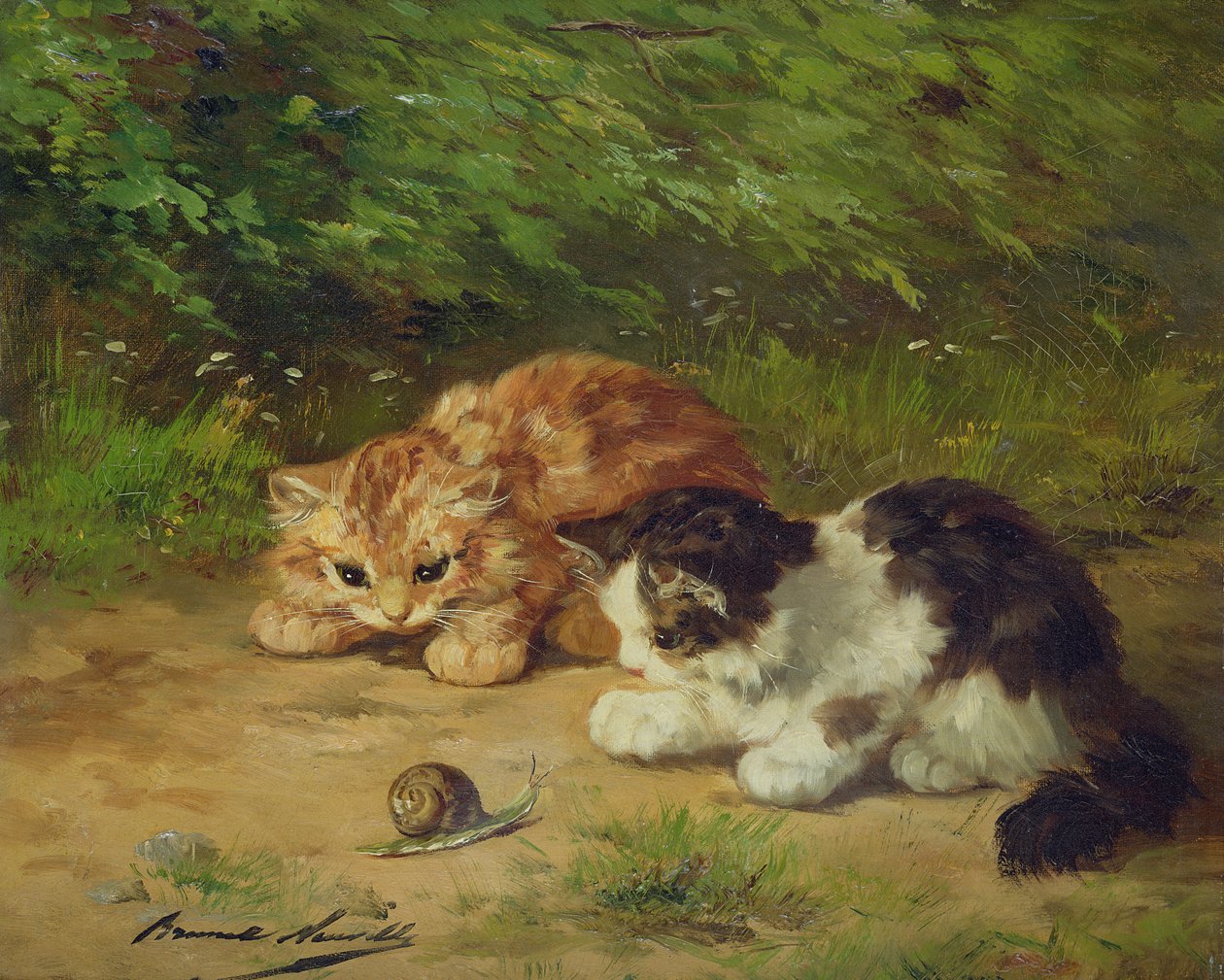 Kattunger og snegl av Alfred Brunel de Neuville