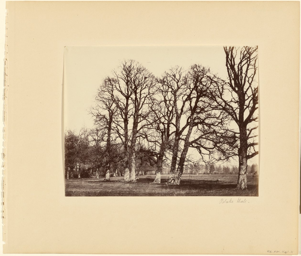  av Alfred Capel Cure