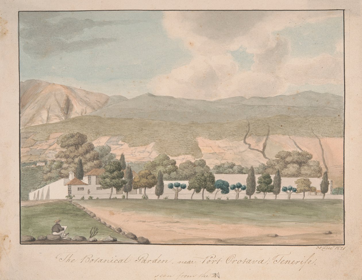 Den botaniske hagen nær Port Orotava, Tenerife av Alfred Diston