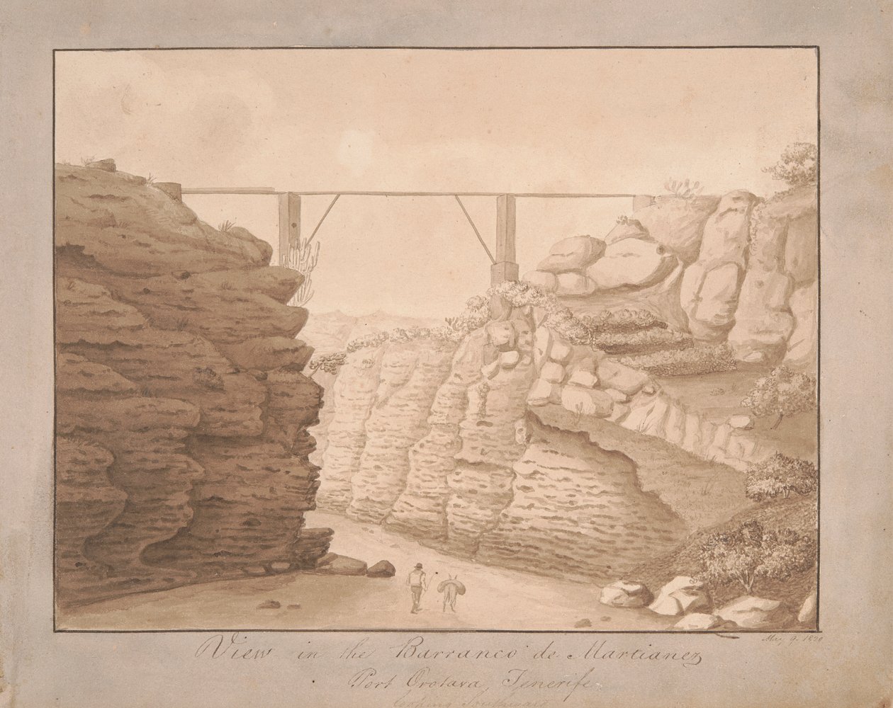 Utsikt i Barranco de Martianez, Port Orotava, Tenerife, sørover av Alfred Diston