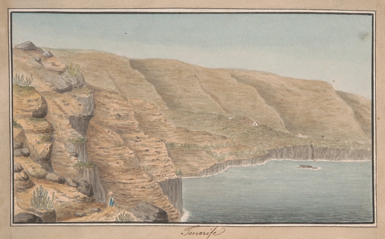 Utsikt over La Rambla de Castro nær Port Orotava, Tenerife av Alfred Diston