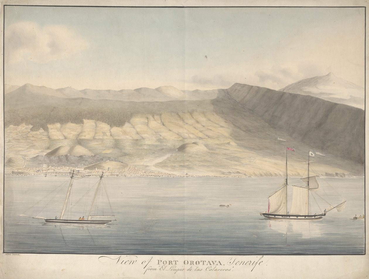 Utsikt over Port Orotava, Tenerife, fra El Limpio de Las Calaveras av Alfred Diston