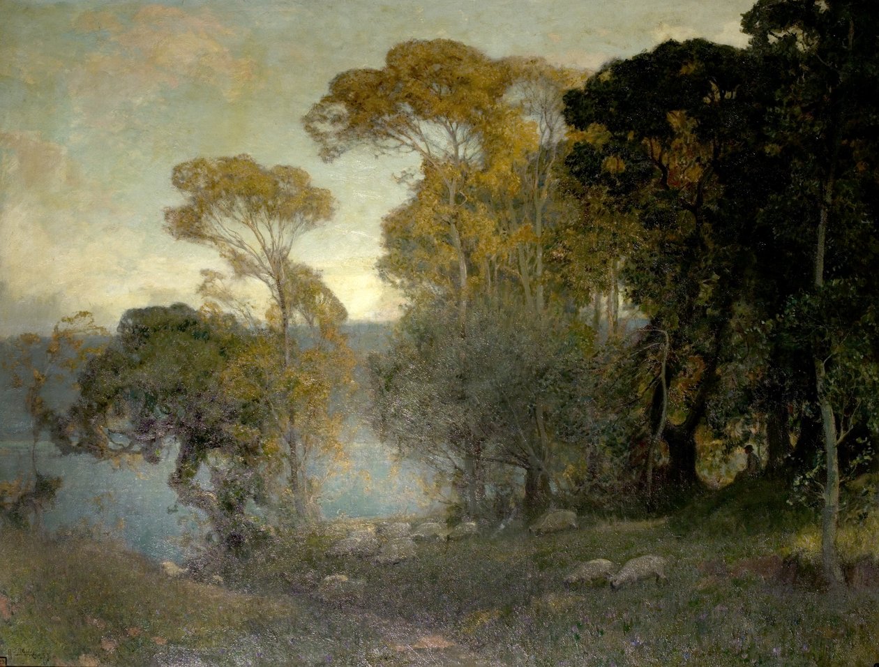 Shepherd