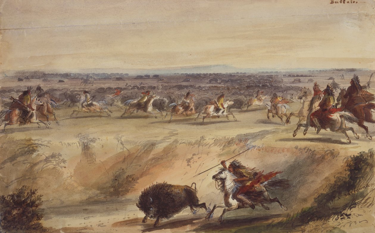 A Surround or Hunting the Buffalo, ca. 1839 (blyant, penn og blekk, akvarell og gouache på papir) av Alfred Jacob Miller