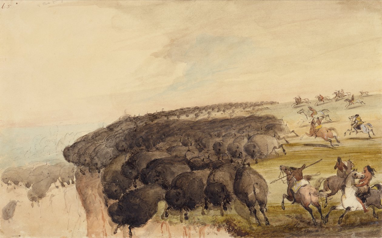 Driving Herds of Buffalo over a Precipice, ca. 1837 (blyant, penn og blekk og akvarell på papir) av Alfred Jacob Miller