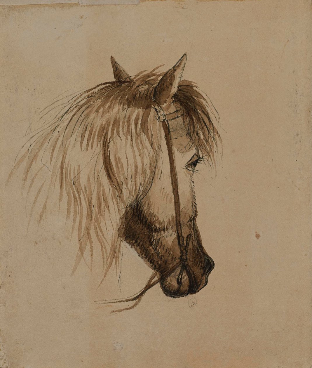 Hestehode av Alfred Jacob Miller