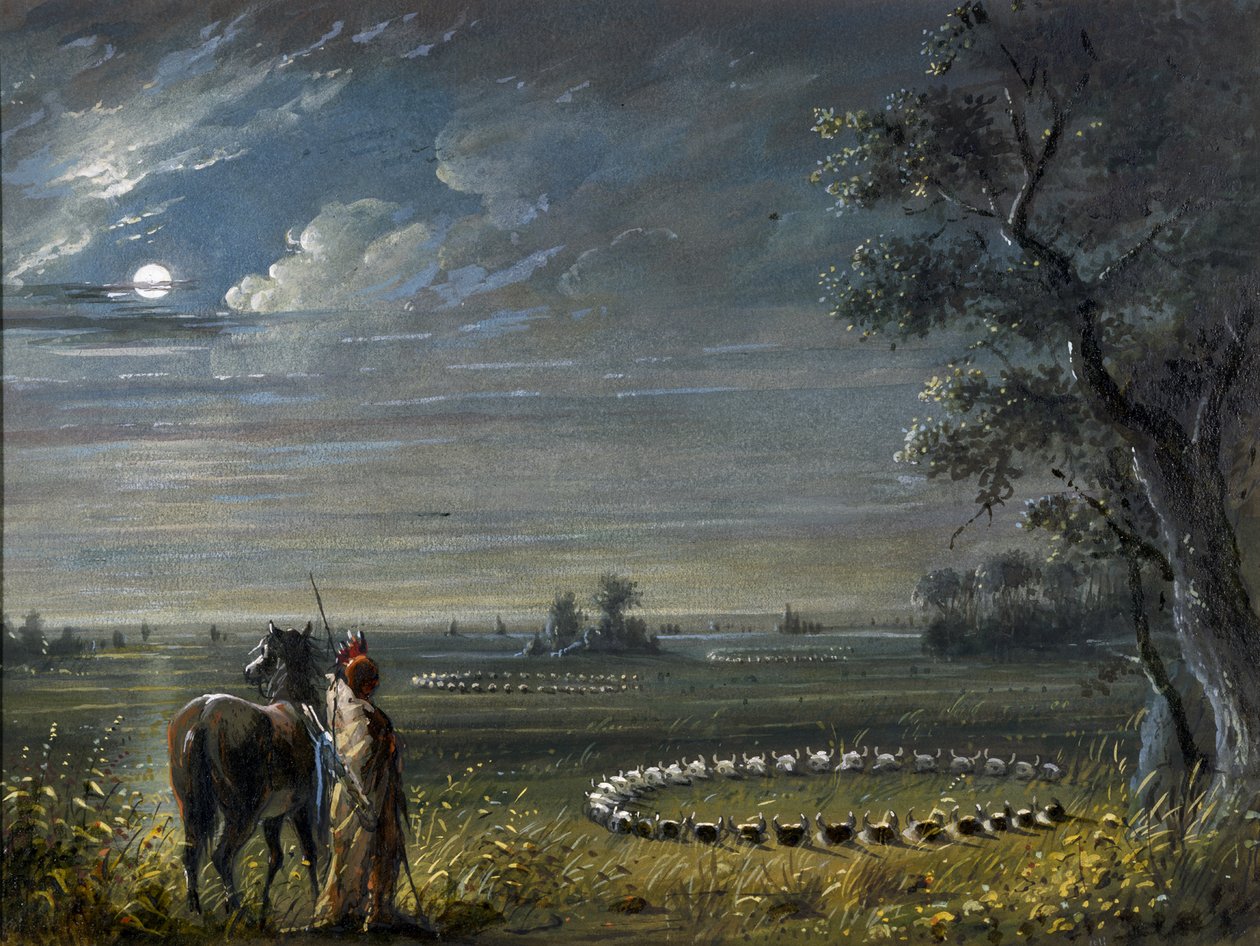 Medisinsirkler av Alfred Jacob Miller
