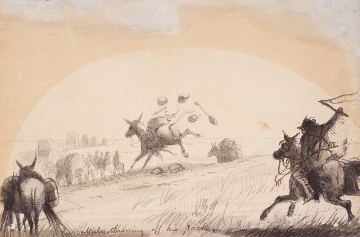Mule kaster av seg sekken, ca. 1837 (blyant, penn og blekk, og vask på papir) av Alfred Jacob Miller