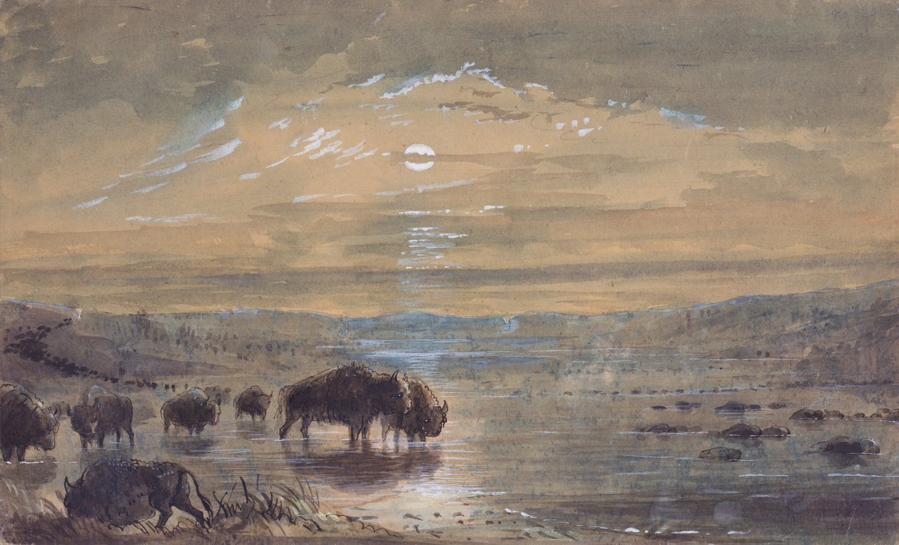 Nattscene, Buffaloes on the Prairie, ca. 1837 (akvarell på papir) av Alfred Jacob Miller