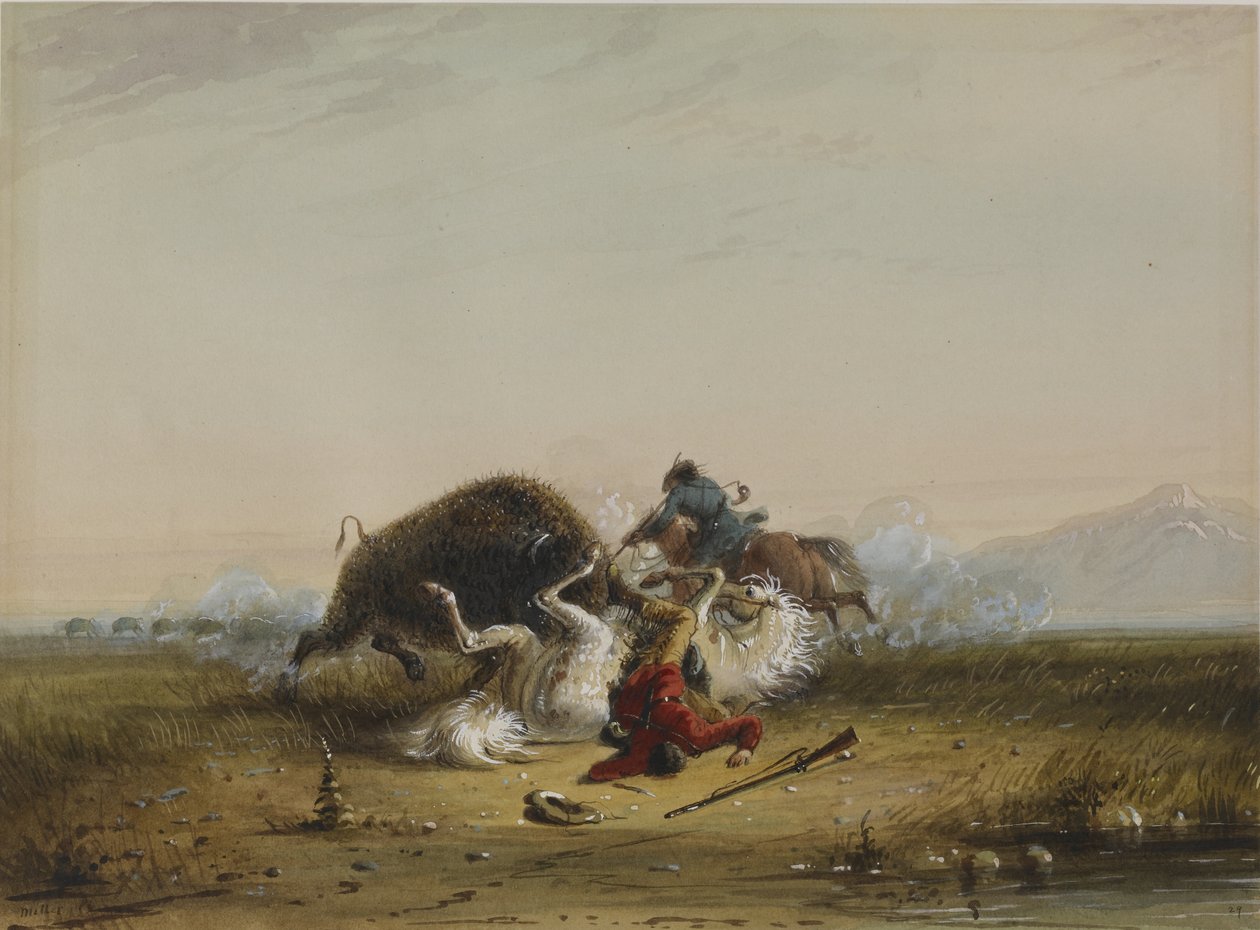 Pierre og bøffelen av Alfred Jacob Miller