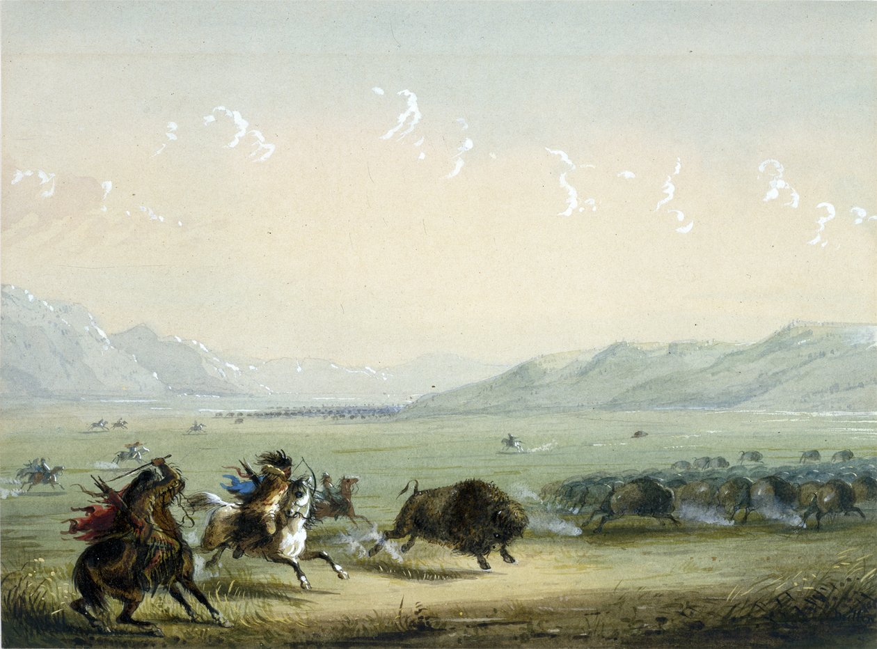 Løpende bison av Alfred Jacob Miller
