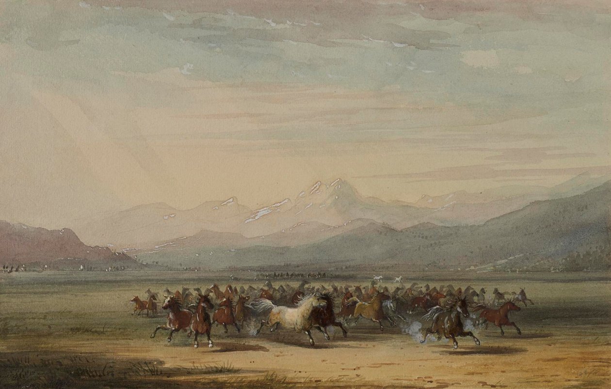 Stampede av ville hester av Alfred Jacob Miller