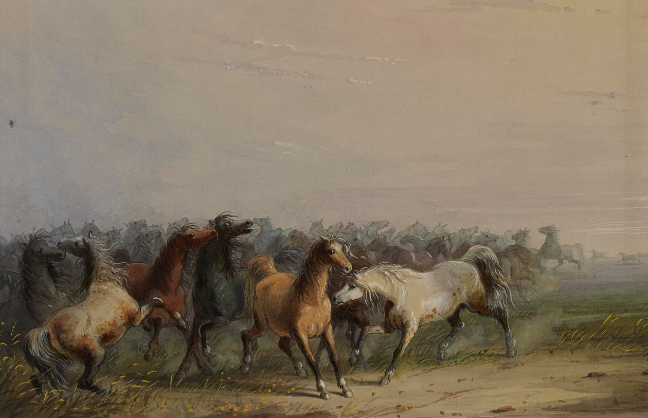 Ville hester av Alfred Jacob Miller