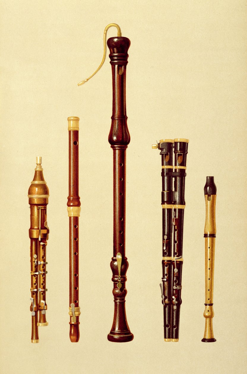 En dobbel flageolet, en tysk fløyte, en bassblokkfløyte, en dobbel flageolet og en blokkfløyte, fra 'Musical Instruments' (farget litho) av Alfred James Hipkins