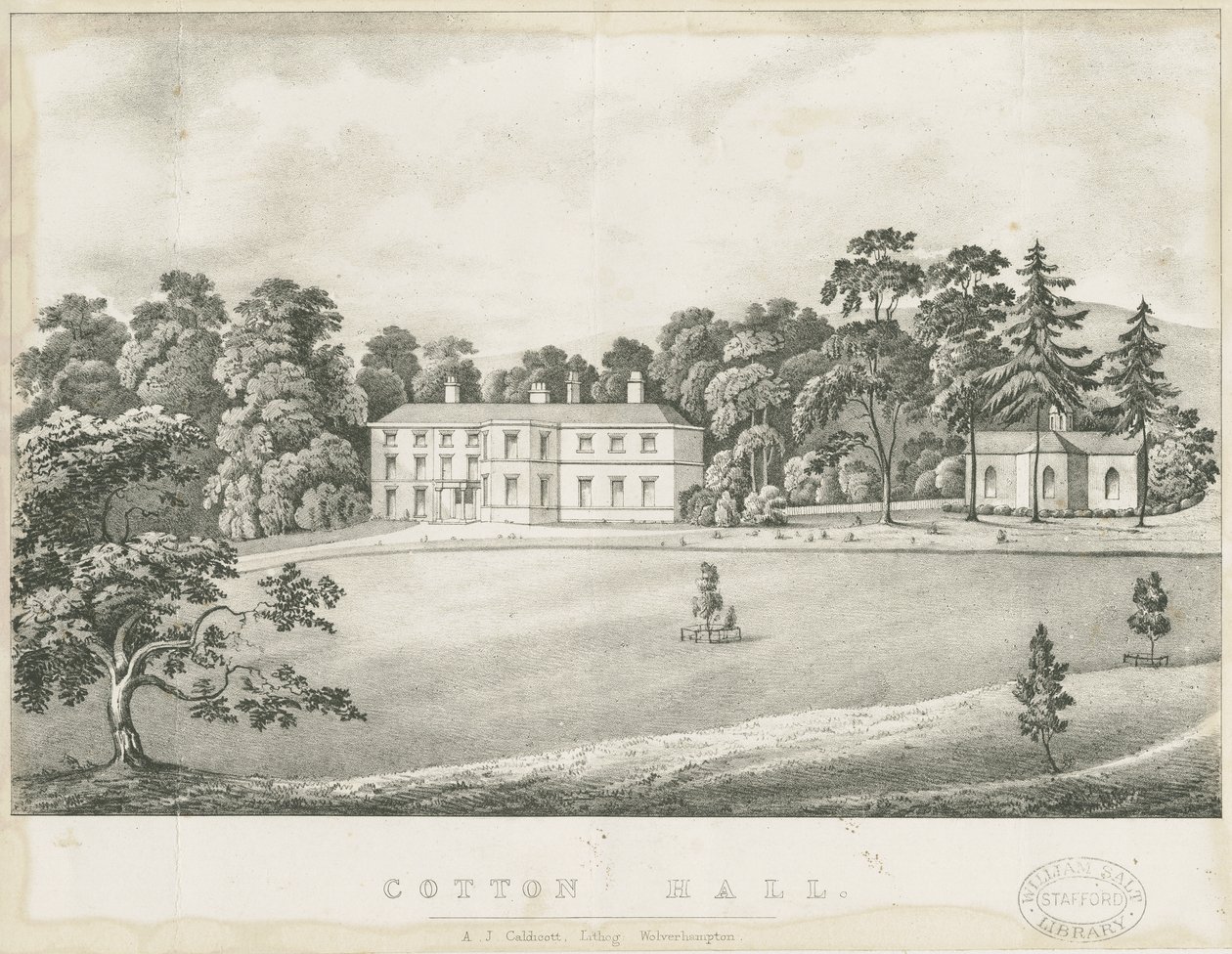 Bomull - Hall: litografi, og [1800-tallet] av Alfred Jolly Caldicott