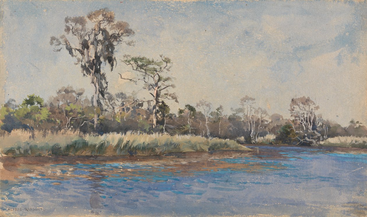 En bekk i Wilmington, NC av Alfred Parsons