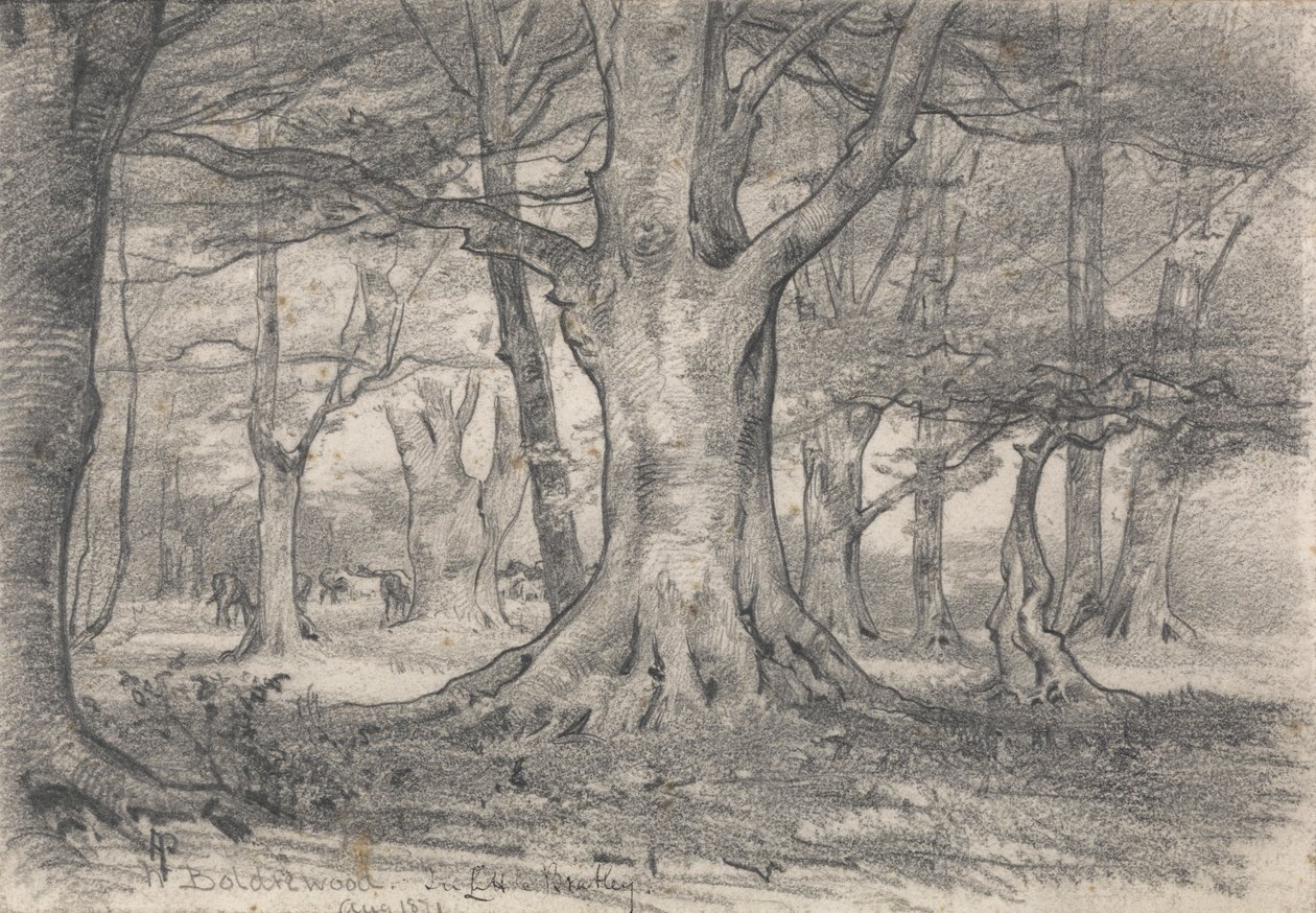 Et skogslandskap nær Boldrewood av Alfred Parsons