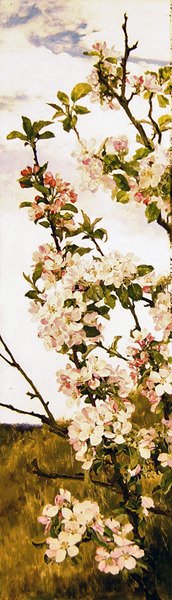 Epleblomst, ca. 1880-86 (olje på panel) av Alfred Parsons