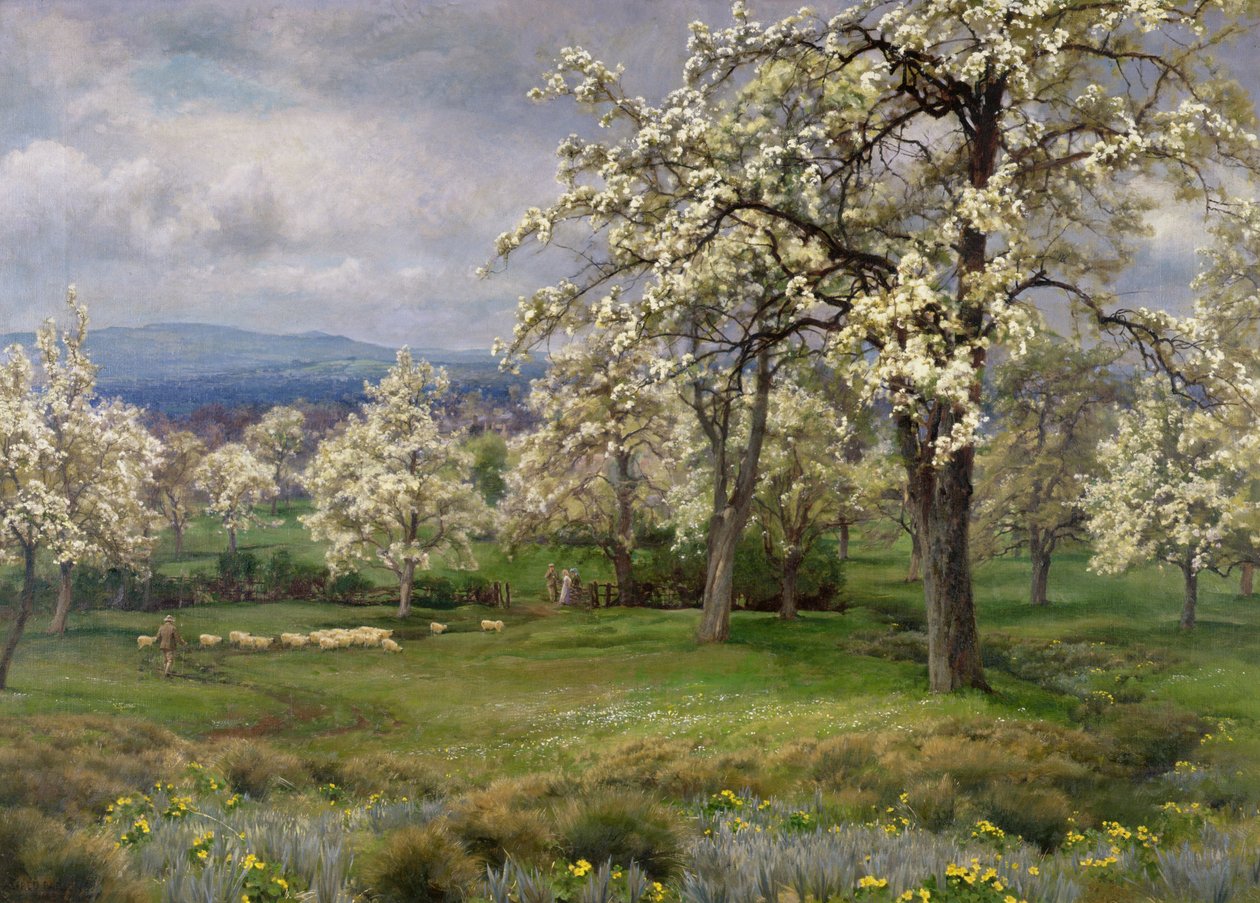 Pærehagen, ca. 1903 av Alfred Parsons
