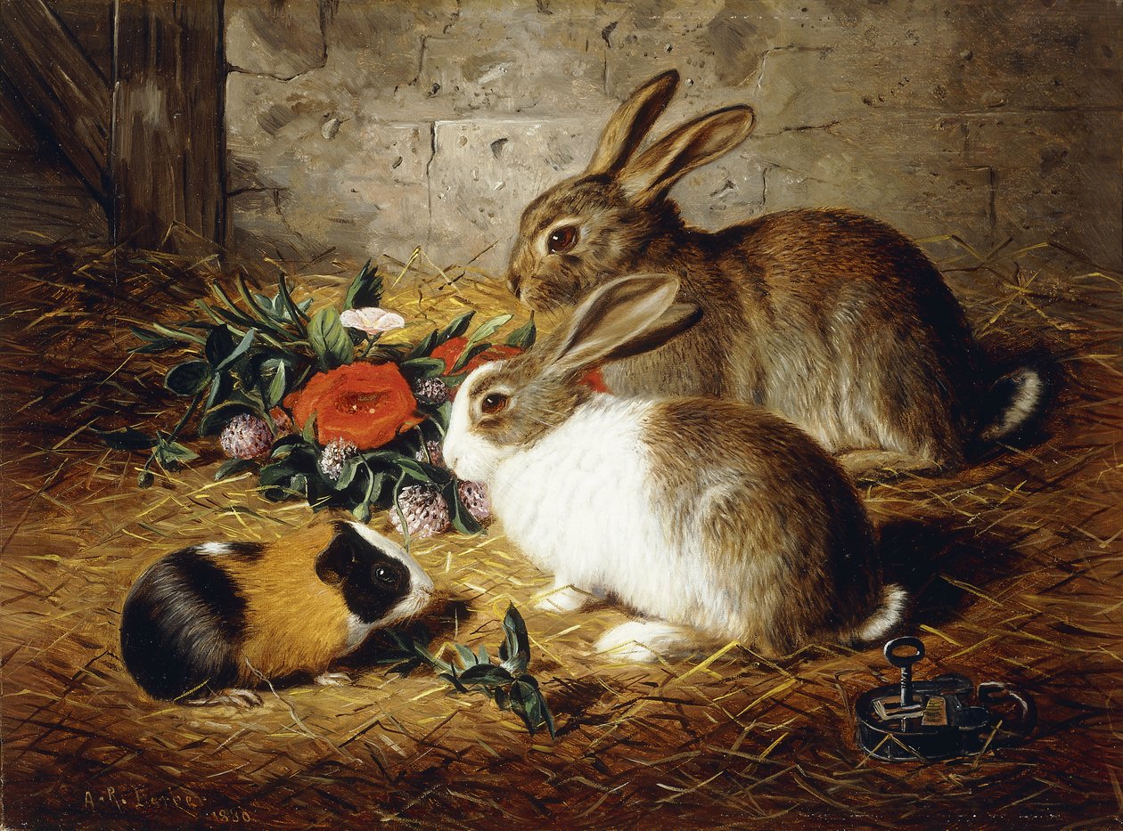 Rømt: To kaniner og marsvin, 1880 av Alfred R. Barber