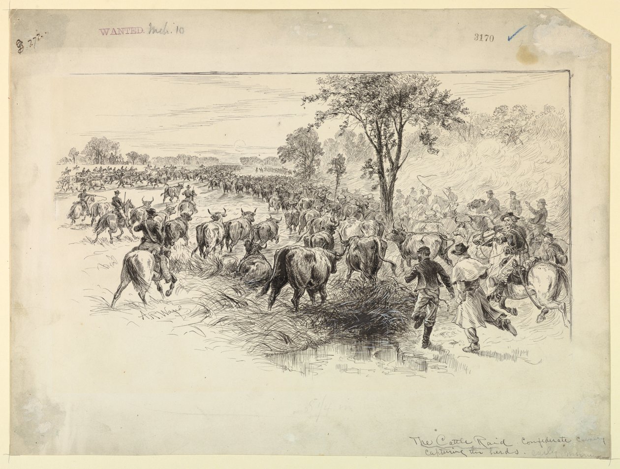 The Cattle Raid av det konfødererte kavaleriet av Alfred R. Waud