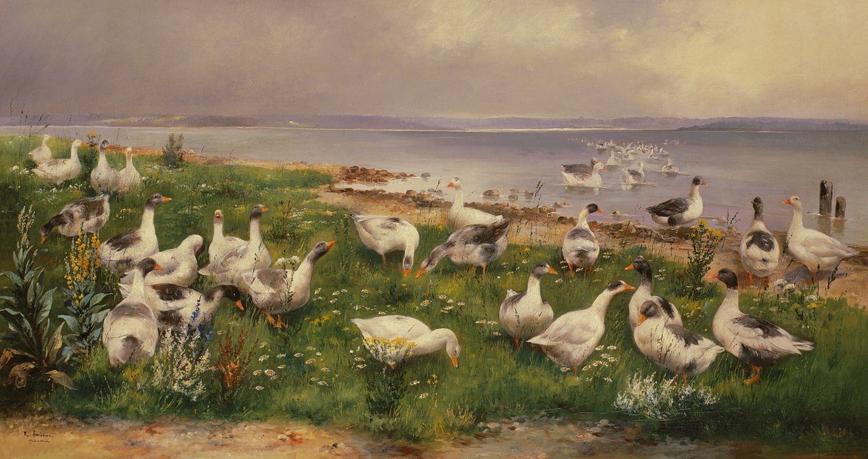 Gjess av Alfred Schonian