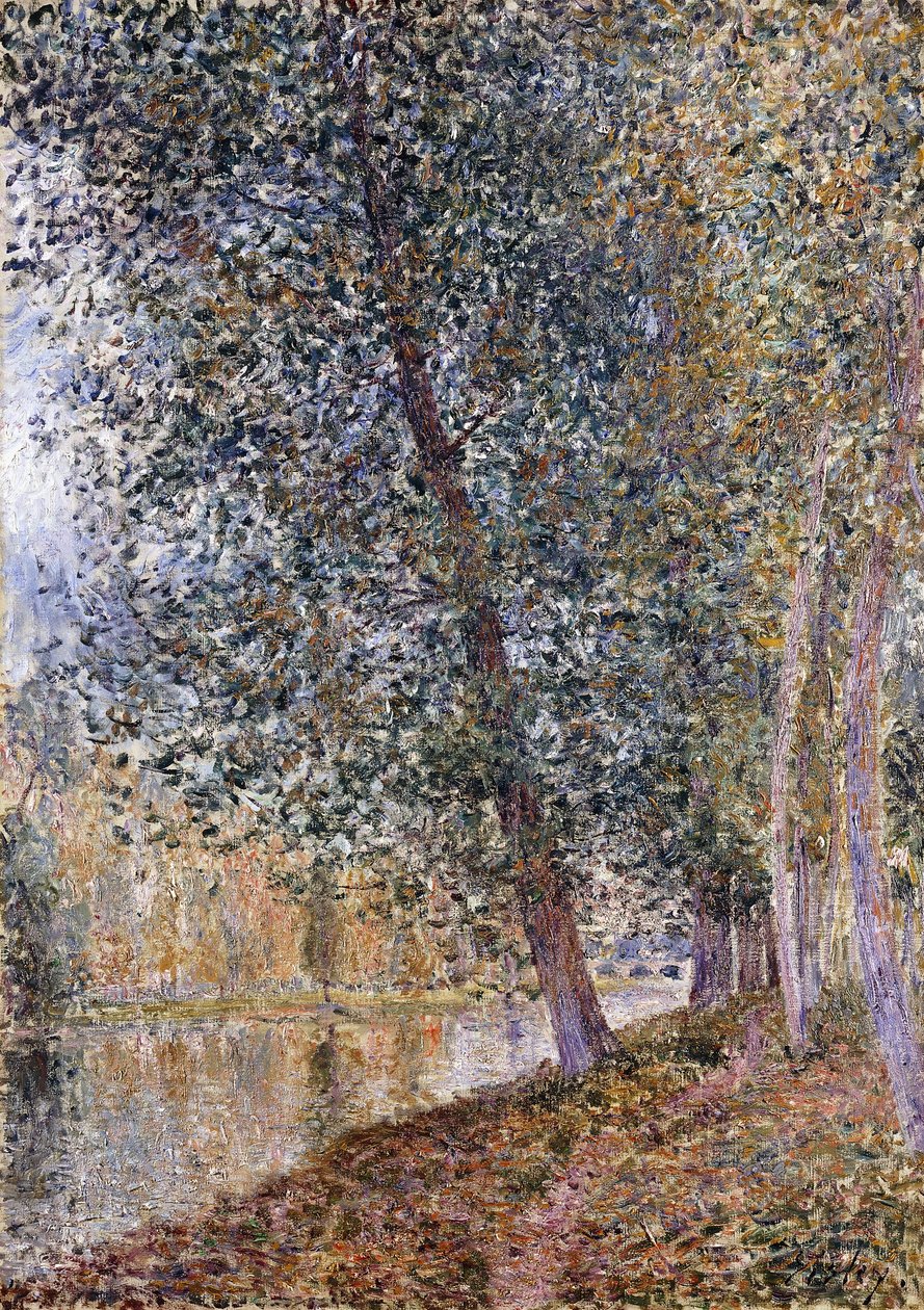 Høst, Loing-breddene; L"Autumne, Bords du Loing, 1880 av Alfred Sisley