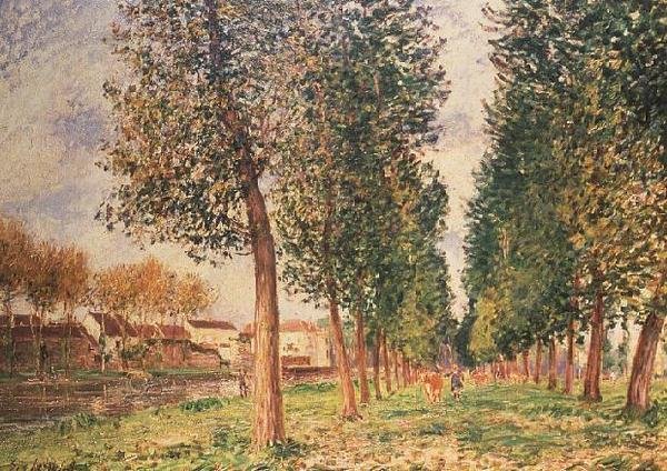 Poplar Avenue i Moret, overskyet dag, morgen av Alfred Sisley
