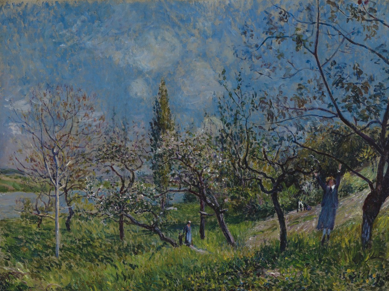 Frukthage om våren av Alfred Sisley