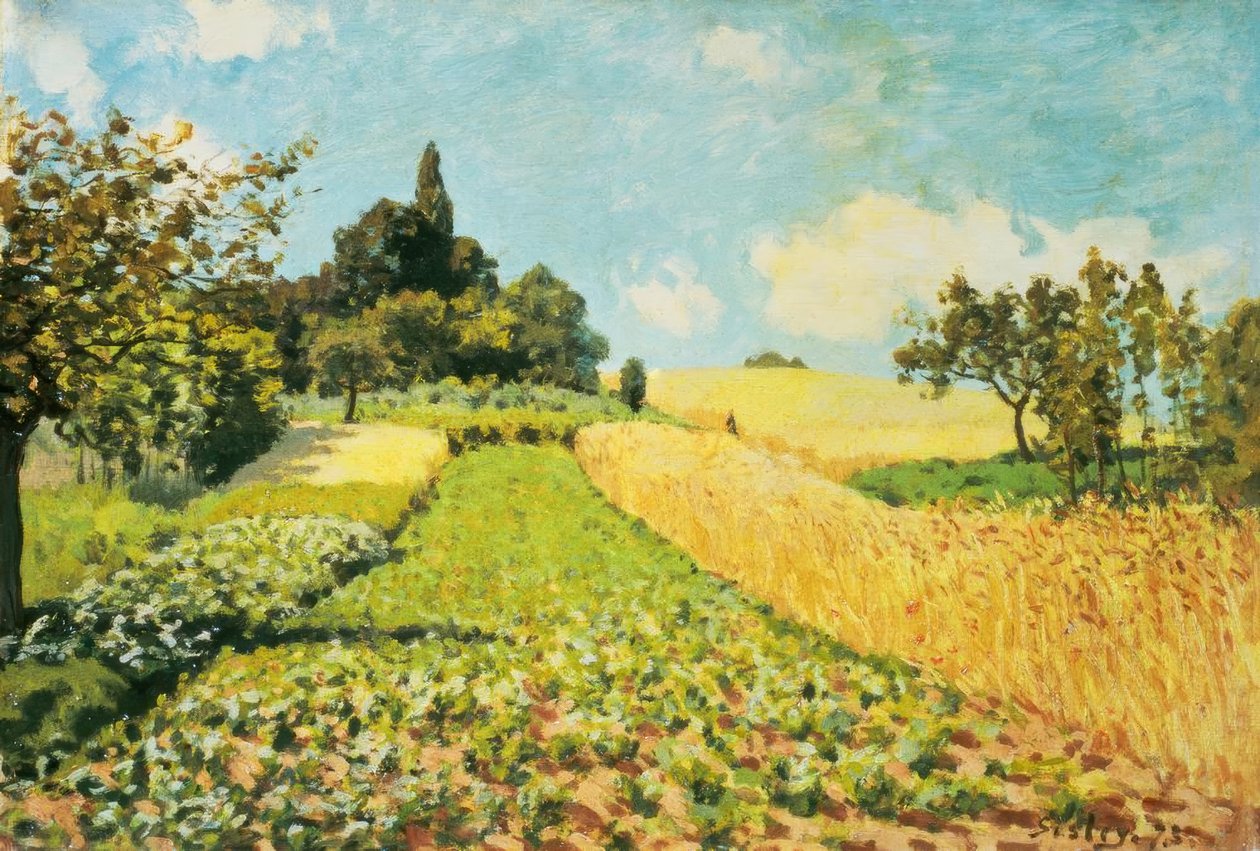 Hveteåker av Alfred Sisley