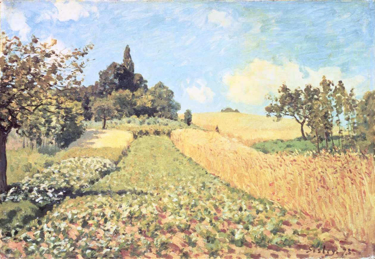 Wheat Field (olje på lerret) av Alfred Sisley