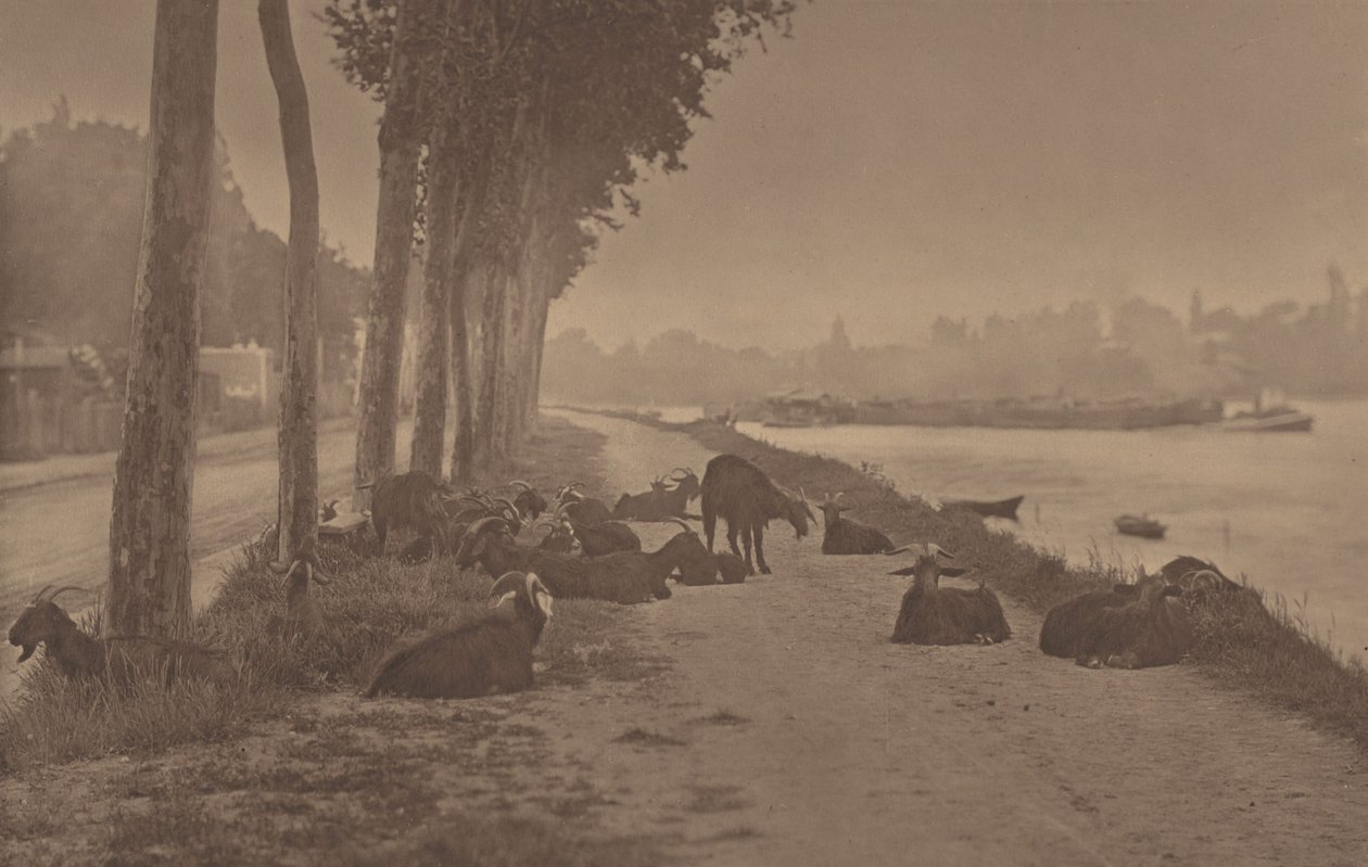 Et dekorativt panel av Alfred Stieglitz