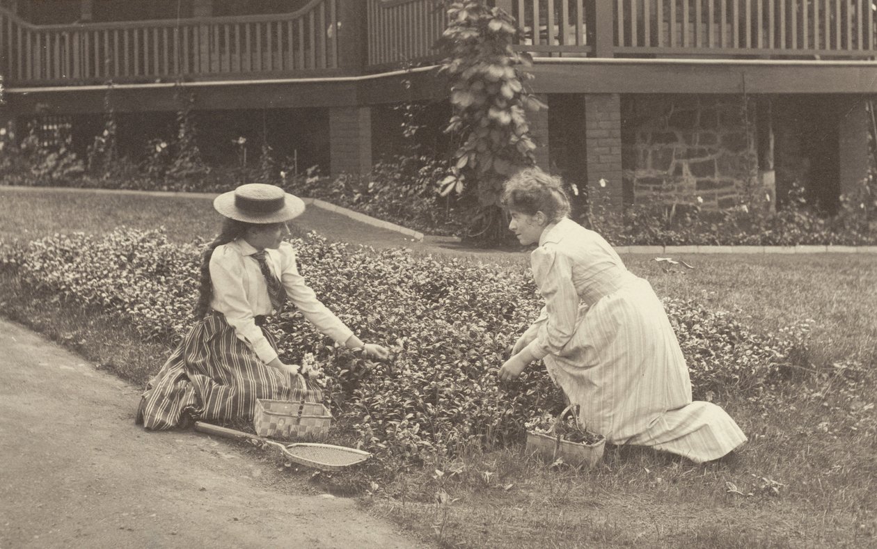 Et blomsterbed ved Oaklawn av Alfred Stieglitz