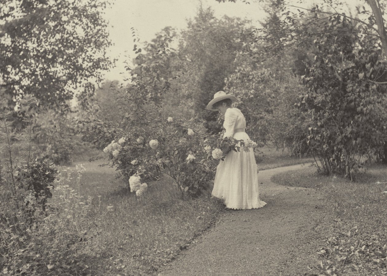 På Oaklawn av Alfred Stieglitz