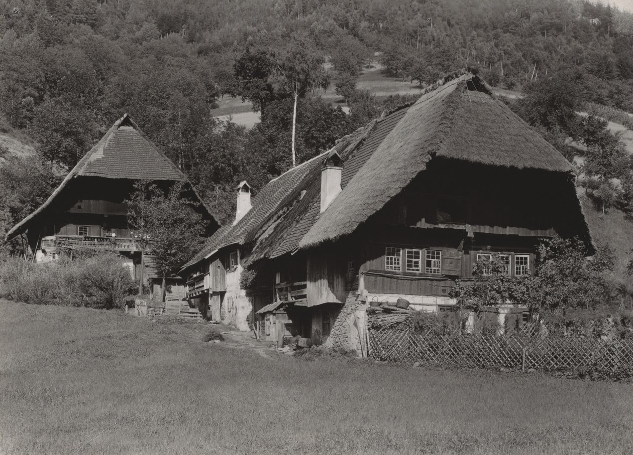 Hus i Schwarzwald av Alfred Stieglitz