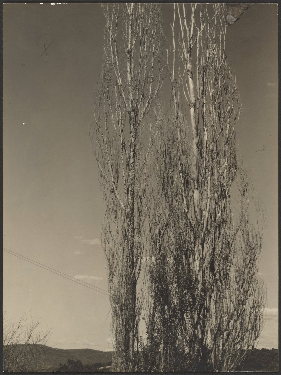  av Alfred Stieglitz