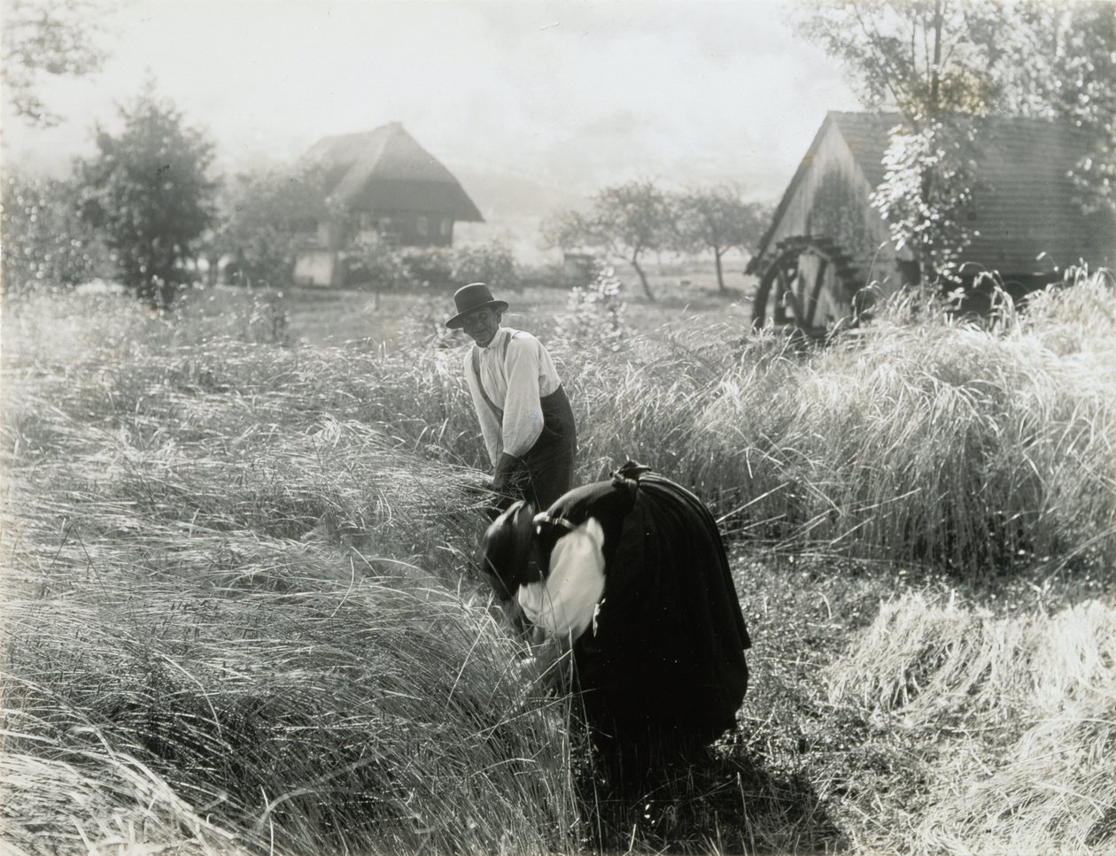 Tidlig om morgenen av Alfred Stieglitz