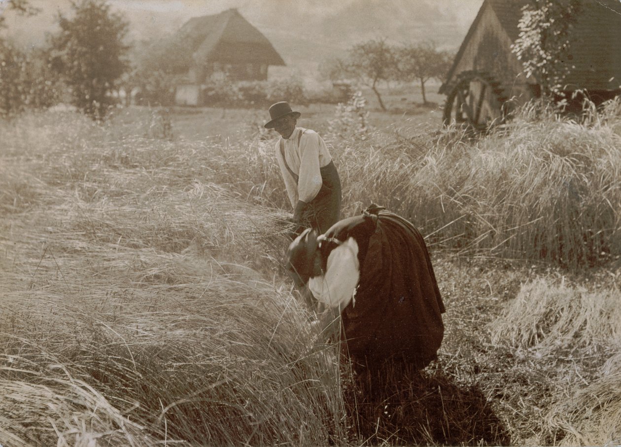 Tidlig om morgenen av Alfred Stieglitz