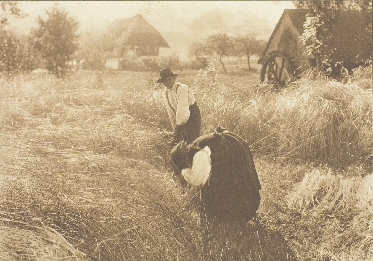 Tidlig morgen, 1894. av Alfred Stieglitz