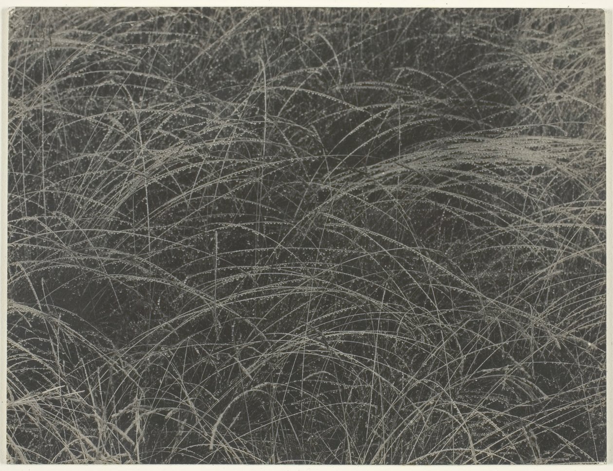 Tilsvarende, 1927. av Alfred Stieglitz