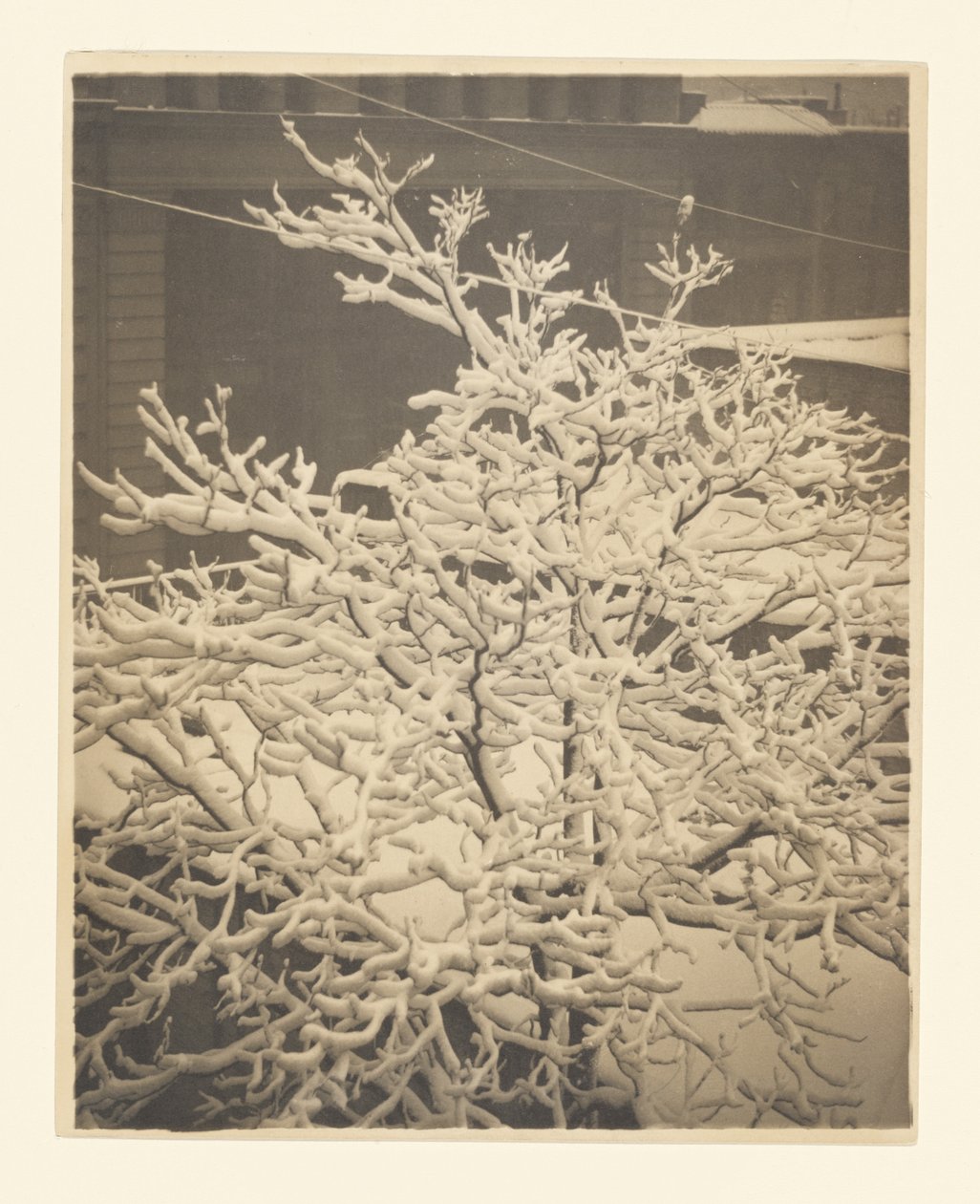 Fra bakvinduet i 291 av Alfred Stieglitz