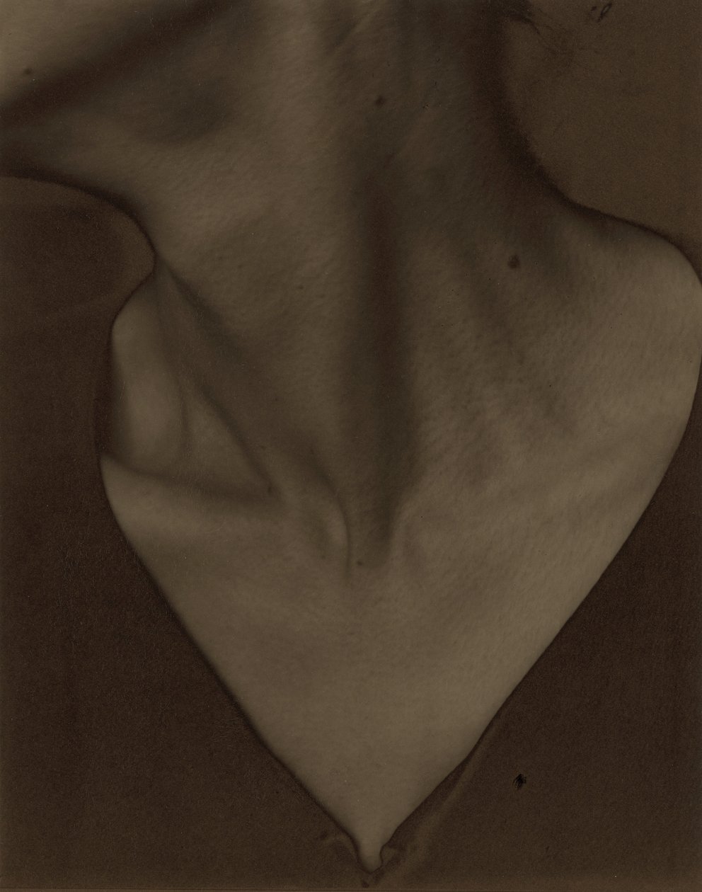 Georgia O’Keeffe – Hals av Alfred Stieglitz