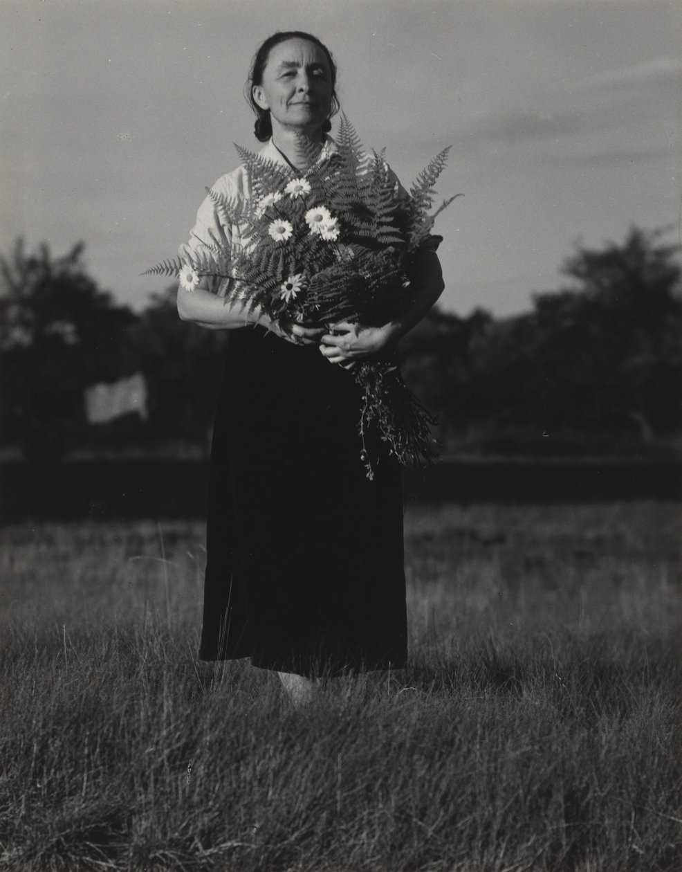 Georgia O’Keeffe av Alfred Stieglitz
