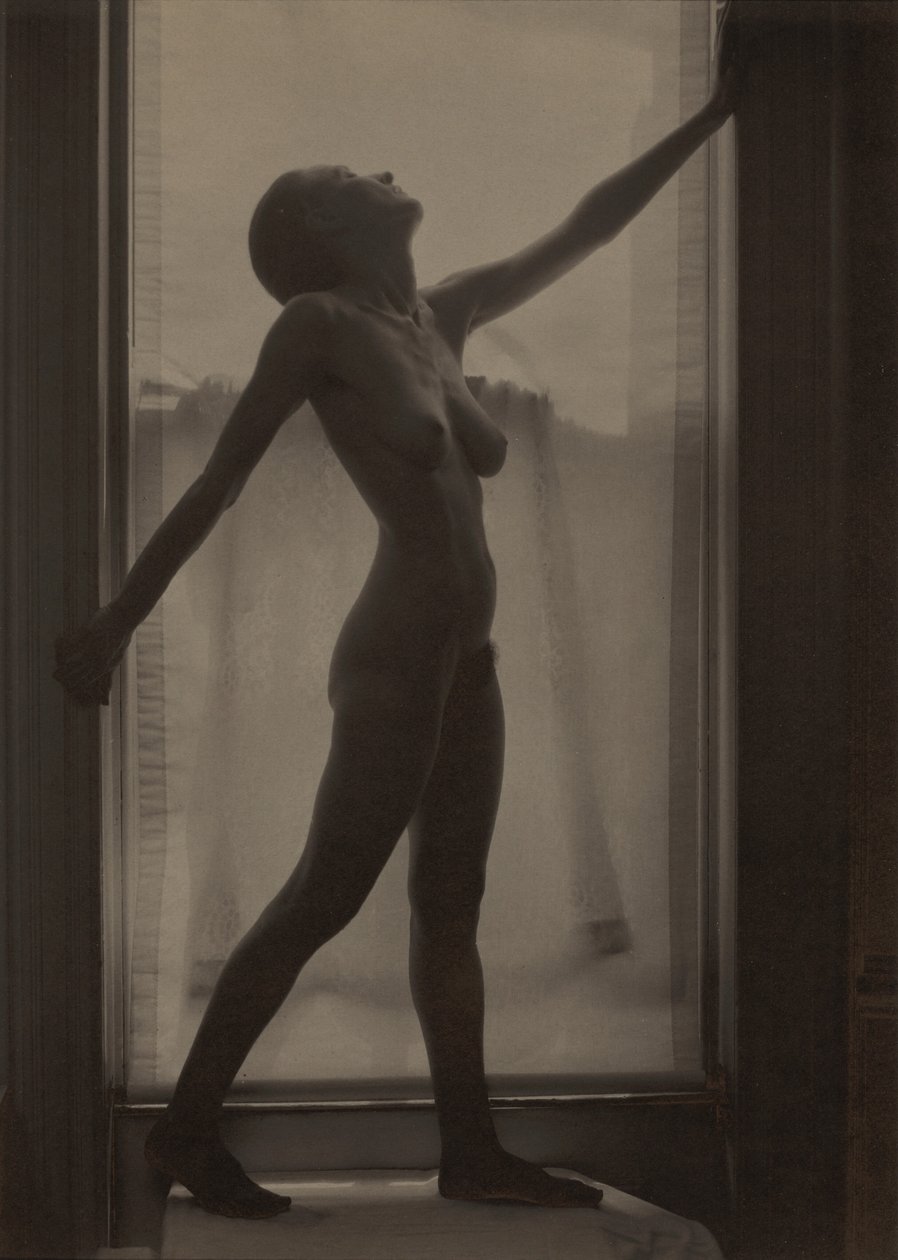 Georgia O’Keeffe av Alfred Stieglitz