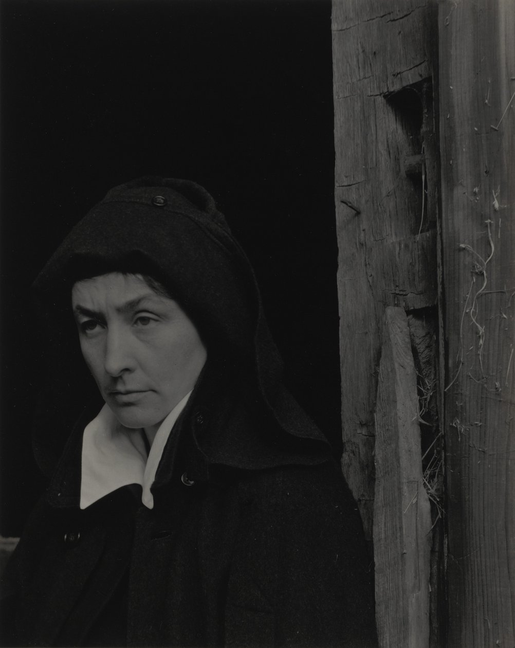 Georgia O’Keeffe av Alfred Stieglitz