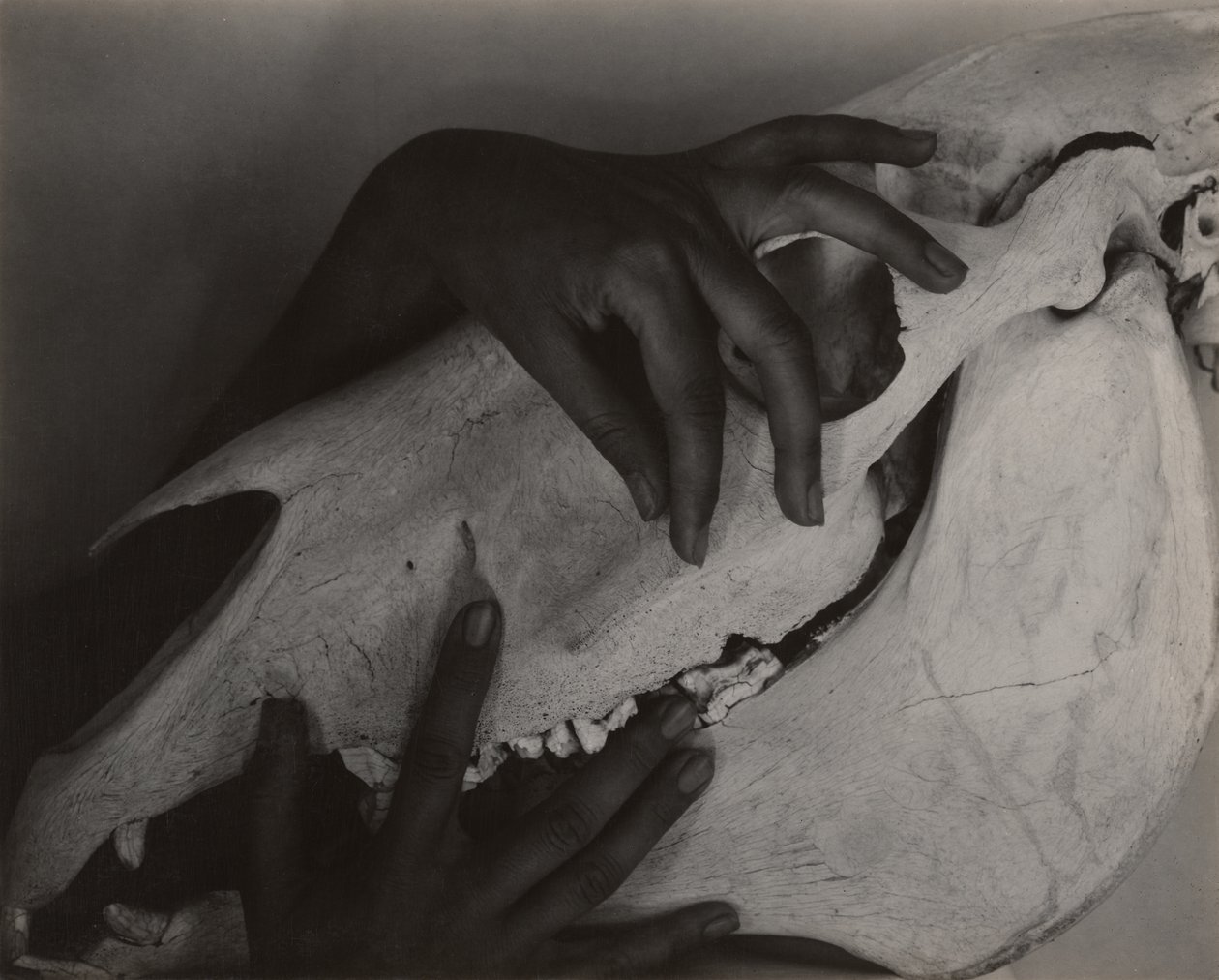  av Alfred Stieglitz